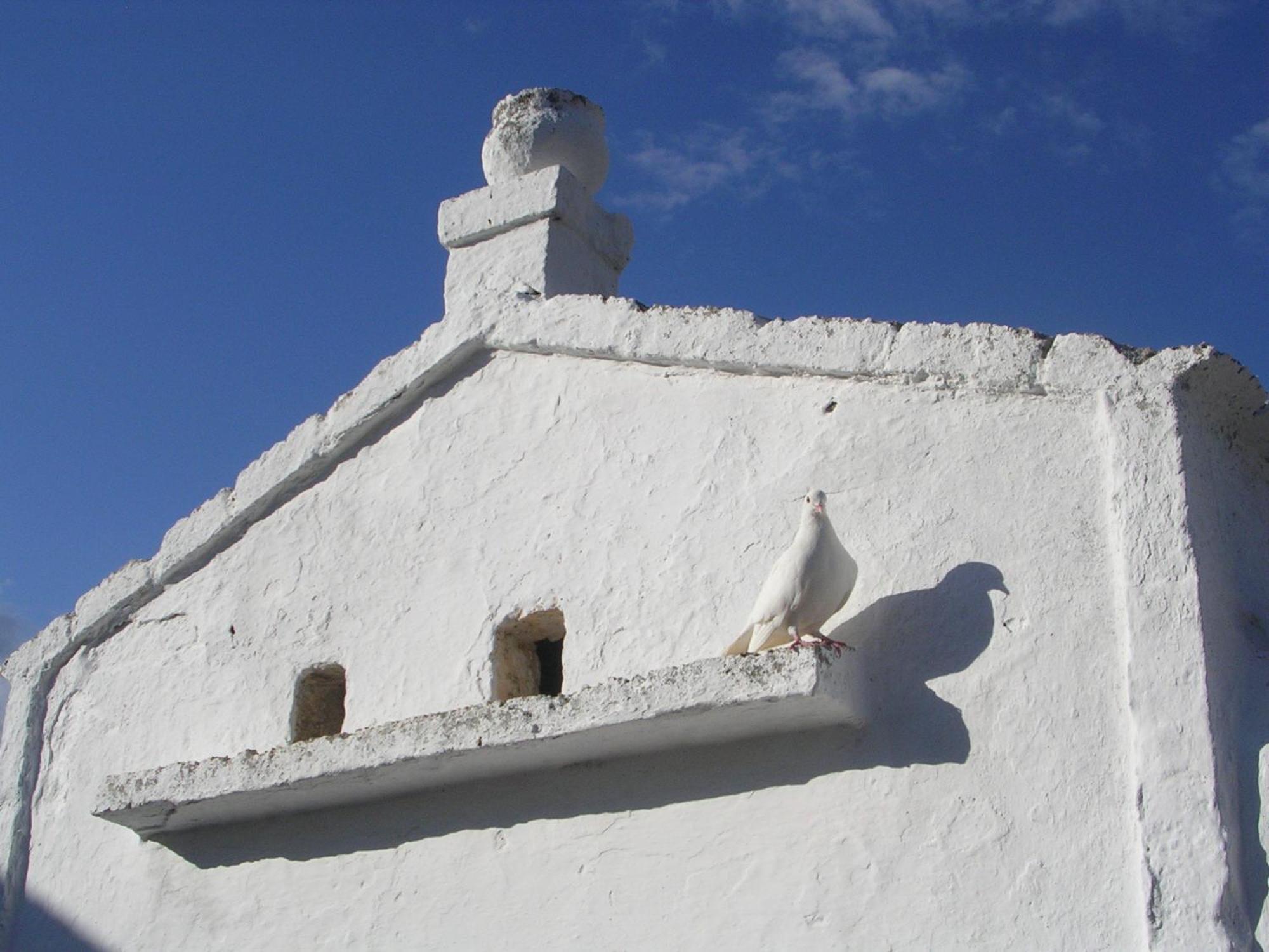 Masseria Purgatorio Fasano Exterior foto