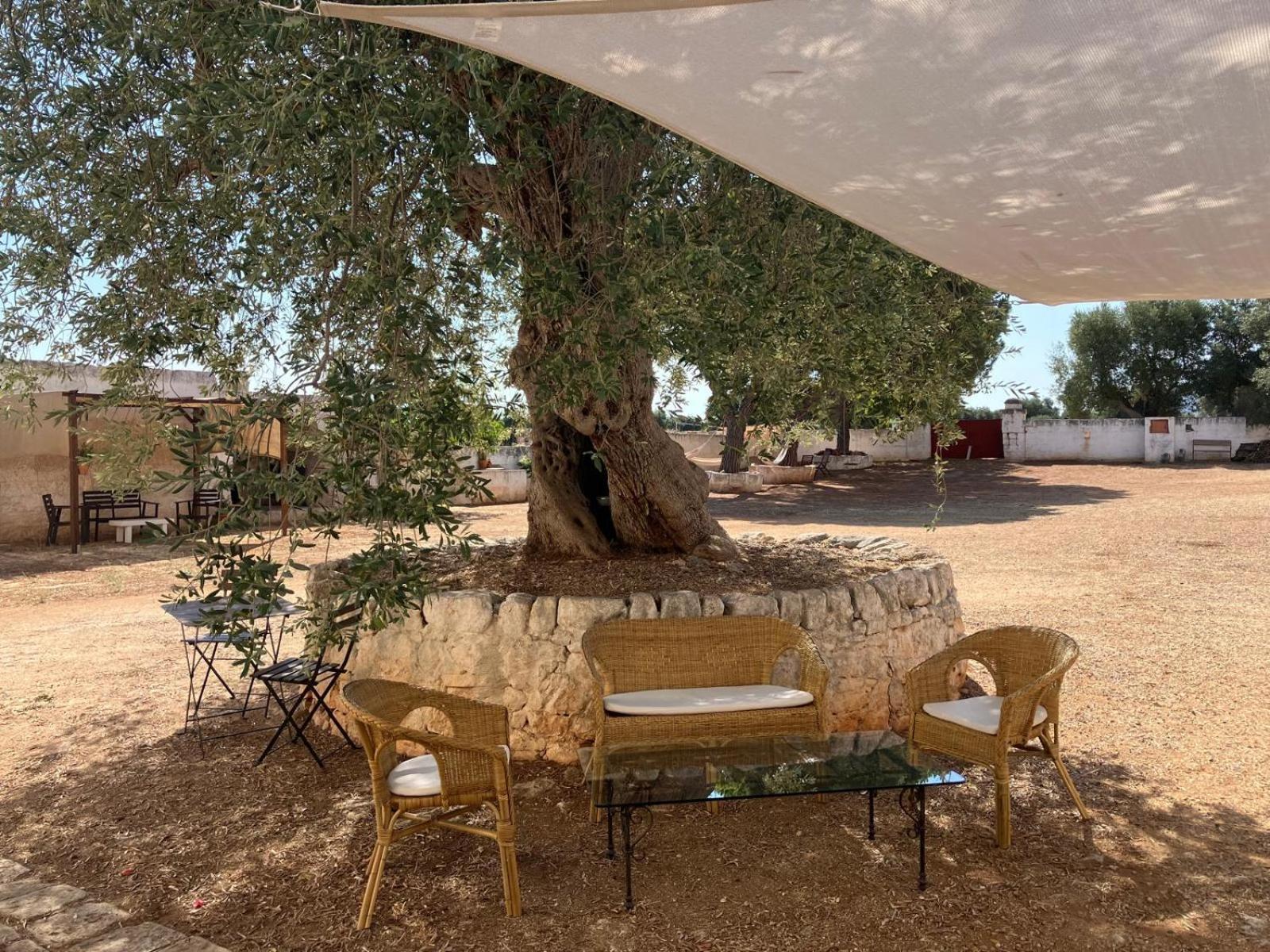 Masseria Purgatorio Fasano Exterior foto